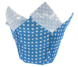 Jumbo Pointed 70 x 40mm