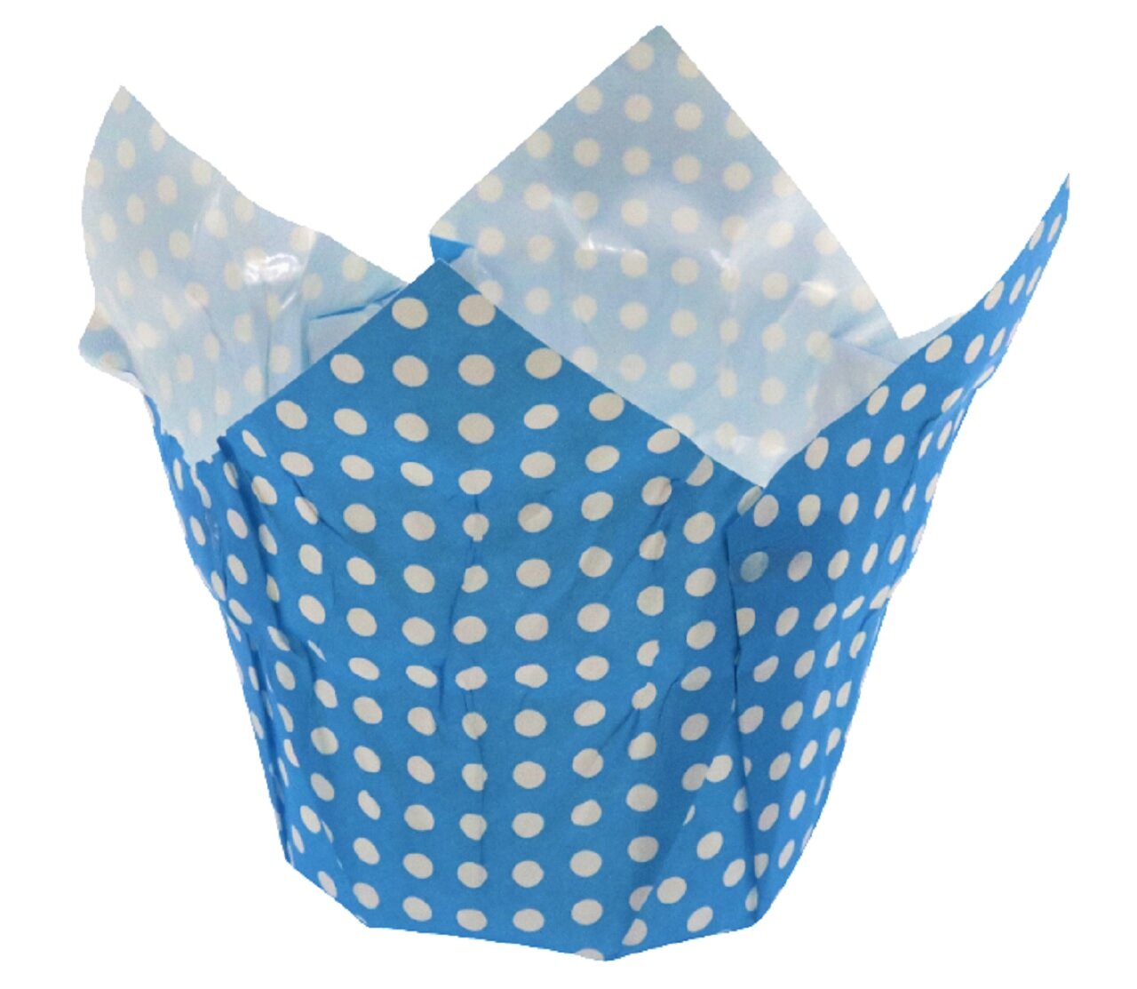 Jumbo Pointed 70 x 40mm